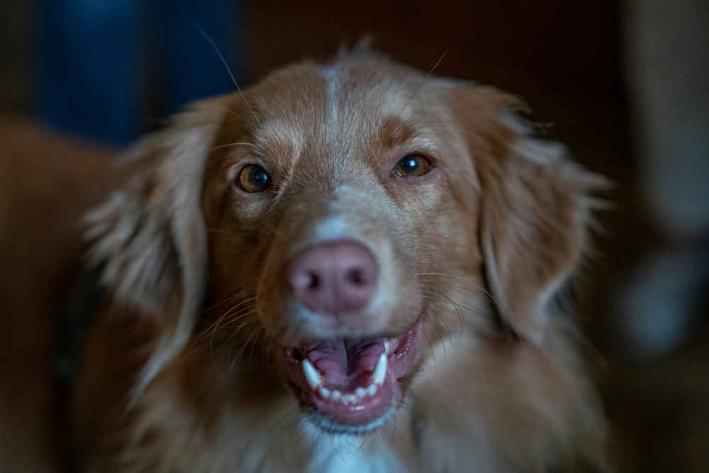 Tamron 70-180mm F2.8 Di III VXD