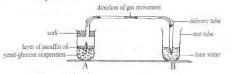 Cameroon GCE O L biology respiration question