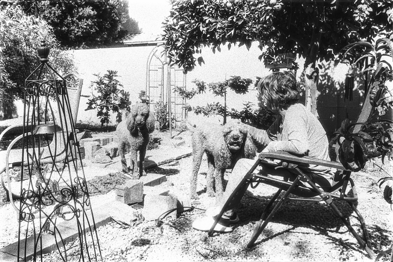 of1928.jpg