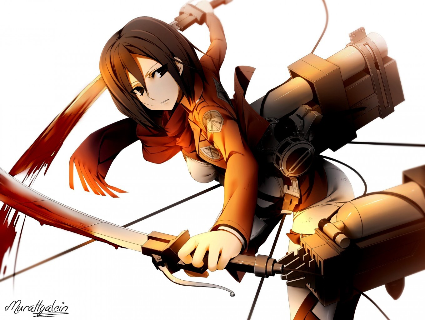 Wallpaper Attack On Titan 70 anime, Shingeki no Kyojin, sword, Mikasa Ackerman, anime girls