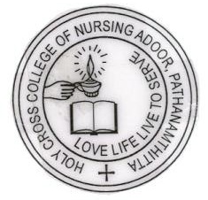 Holy Cross College of Nursing Adoor, Pathanamthitta