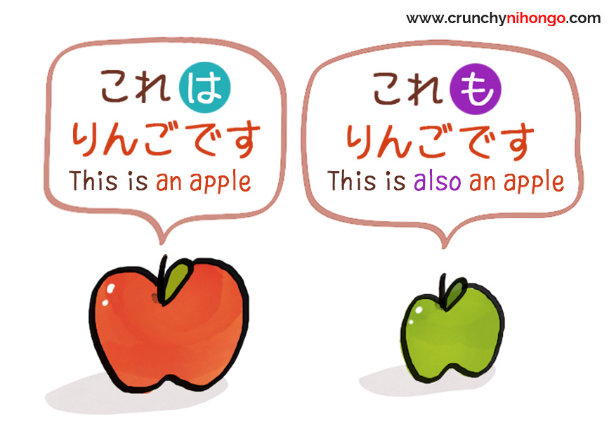 Basic Particle And Crunchy Nihongo Old Version 