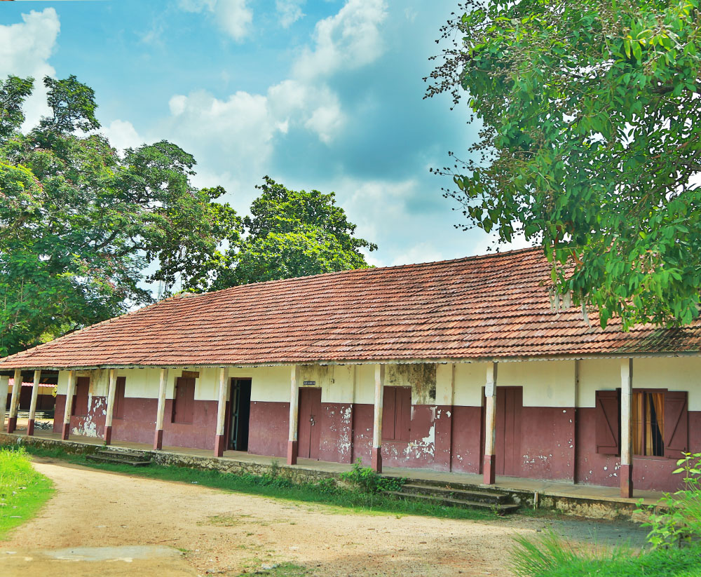 School of Applied Life Sciences, Pathanamthitta Image