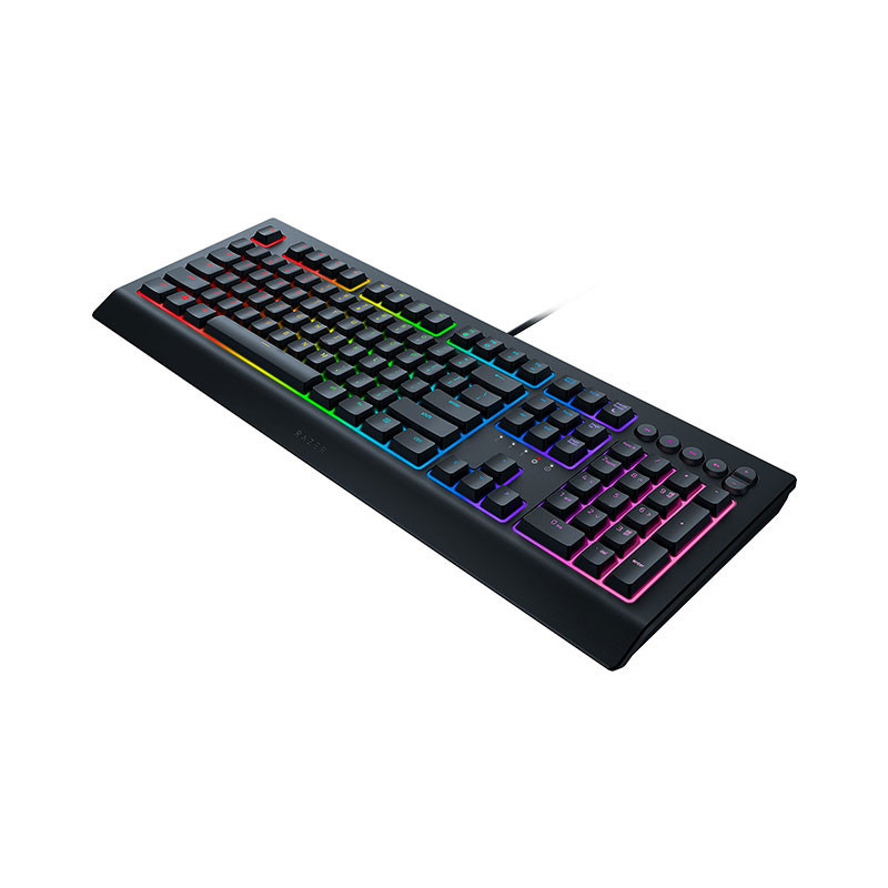 Razer Cynosa V2 