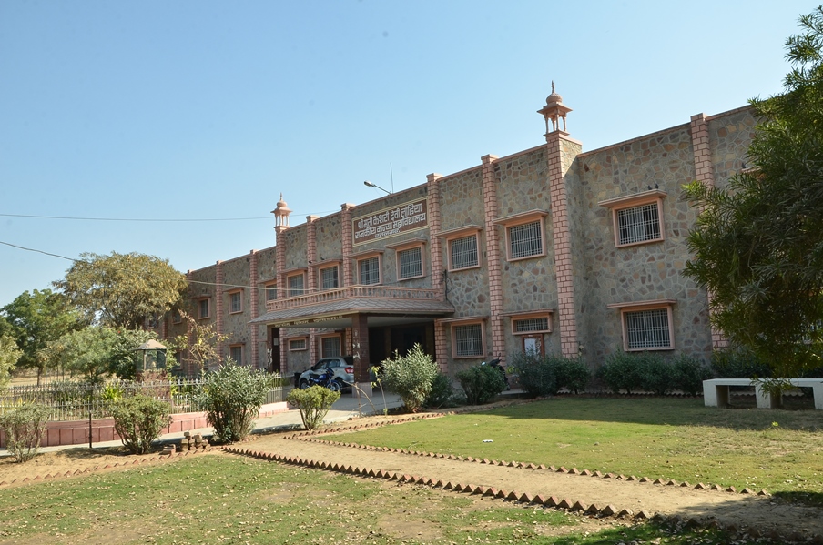 Smt. Keshri Devi Lohia Government Girls College, Ratangarh Image