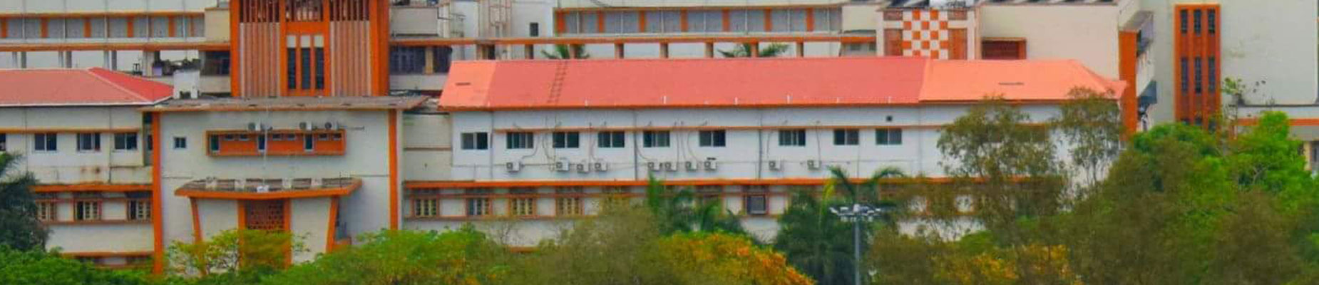 Netaji Subhash Chandra Bose School of Nursing Image