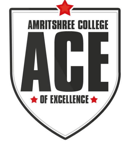 Amritshree College of Excellence, Harda