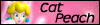 catpeach.png