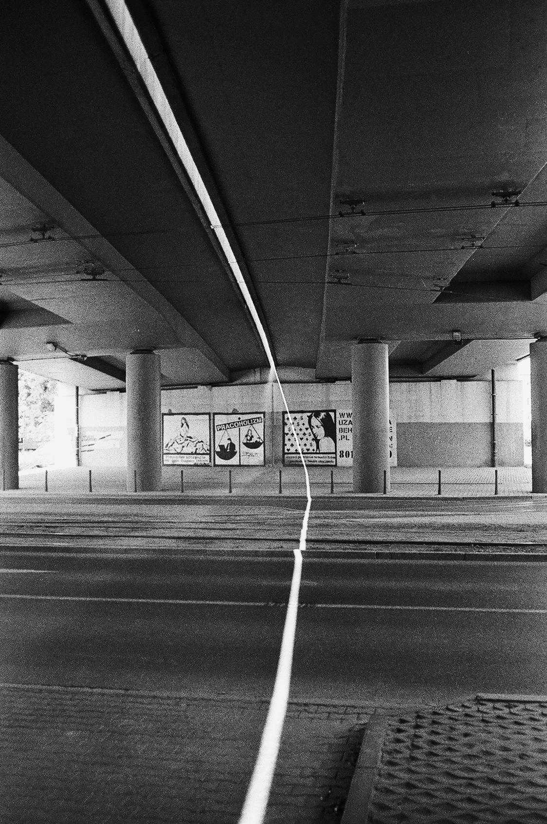 Spacer z małpami - Contax T2 i T3