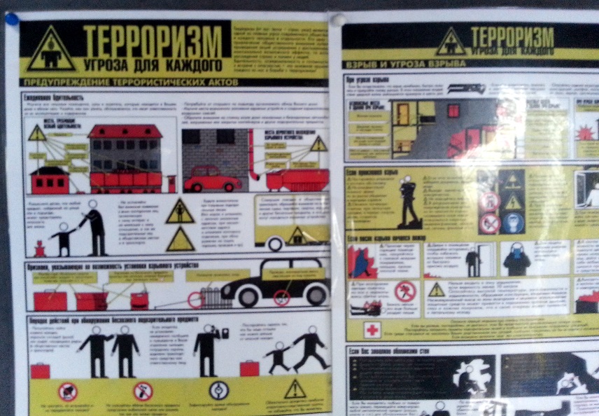 террор