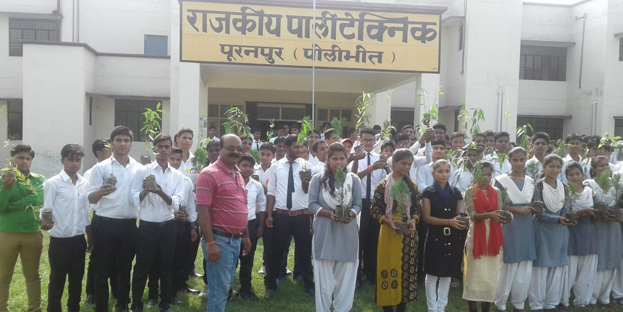 GOVERNMENT POLYTECHNIC, POORANPUR PILIBHIT(U.P) Image
