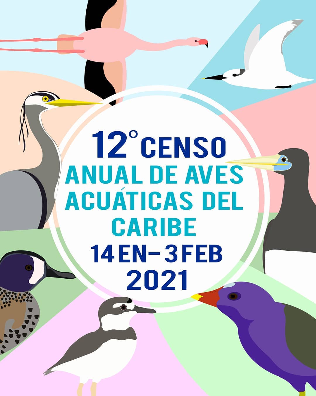 Censo de Aves Acuáticas Caribeñas / Venezuela (Primera parte)