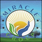 Miracle Nursing College Yash Nagar