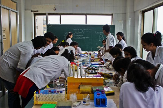 School of Biotechnology and Bioinformatics, D. Y. Patil Deemed to be University, Navi Mumbai Image