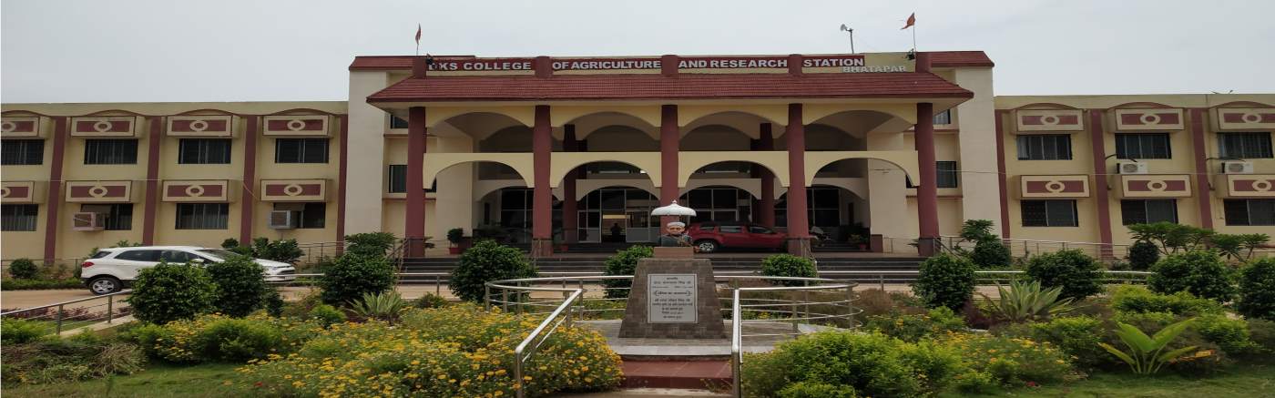 D.K.S. College of Agriculture and Research Station, Bhatapara Image