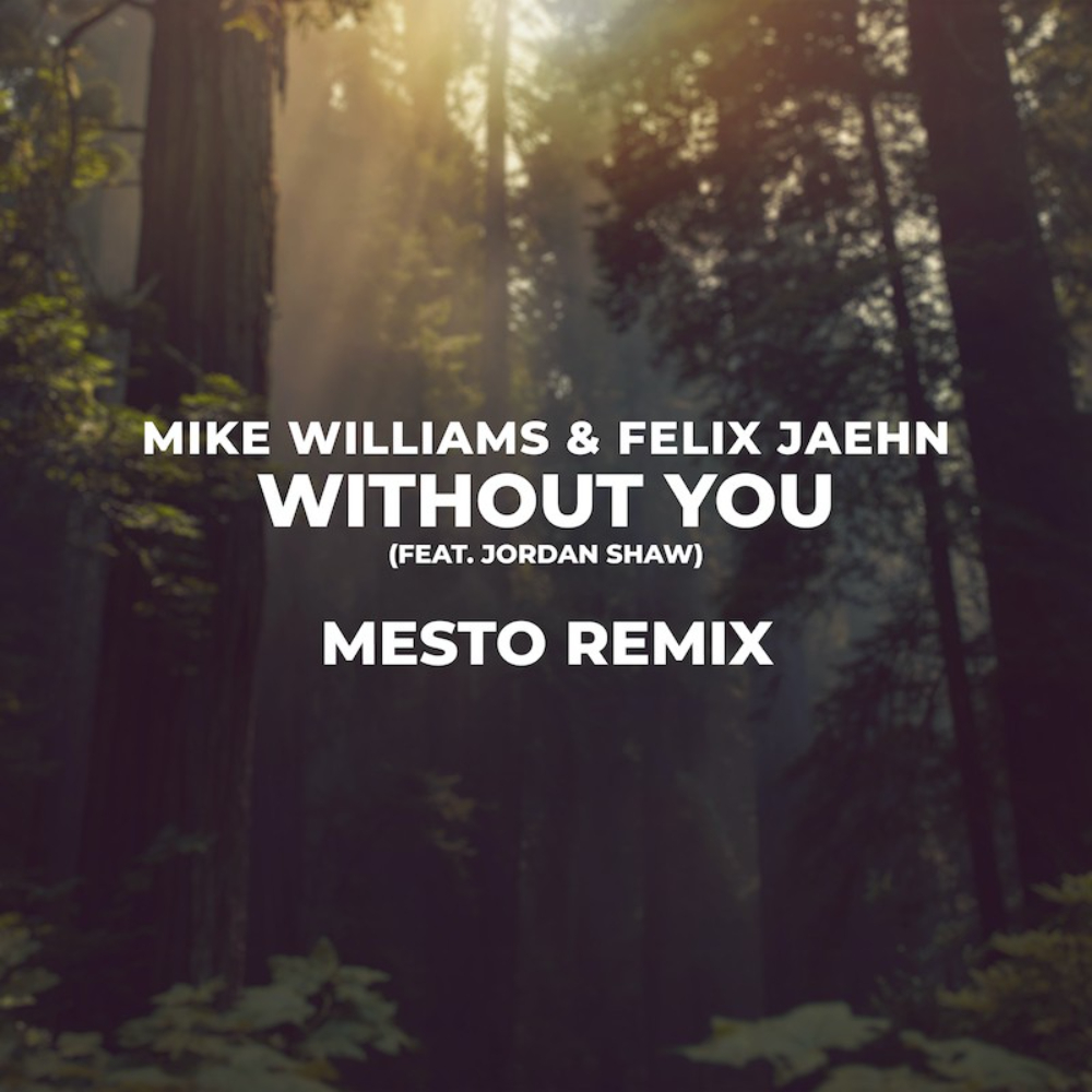 Mike Williams & Felix Jaehn ft Jordan Shaw - Without You (Mesto Remix)