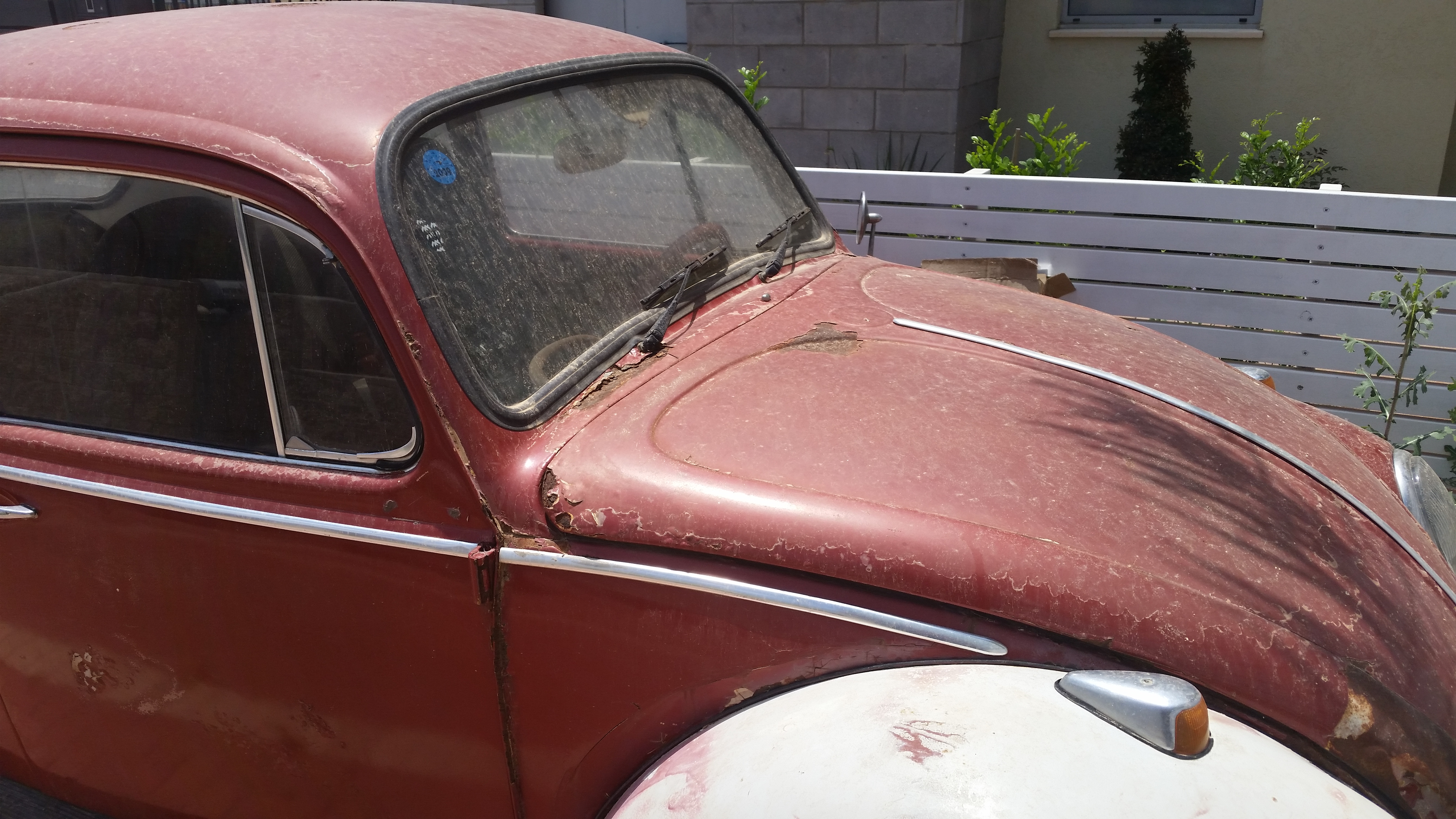 20140612_115401.jpg