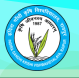 Pt. Shiv Kumar Shastri College of Agriculture and Research Station, Rajnandgaon