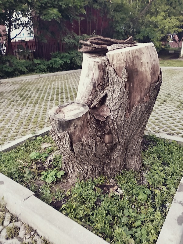   ,    