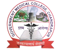 Government Medical College, Chandrapur