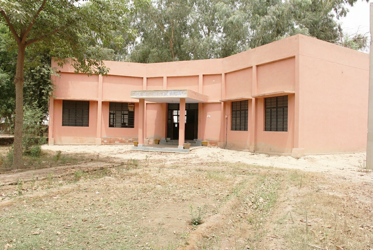 Shaheed Bhagat Singh College Raisinghnagar, Sriganganagar Image