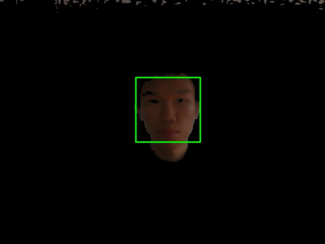 Normal with Skin Detected Image