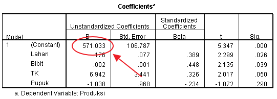 Output konstanta dalam aplikasi SPSS