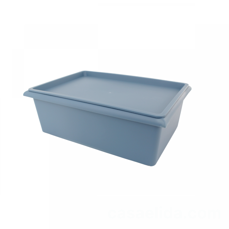 Caja organizadora azul, 14.5x40x28cm