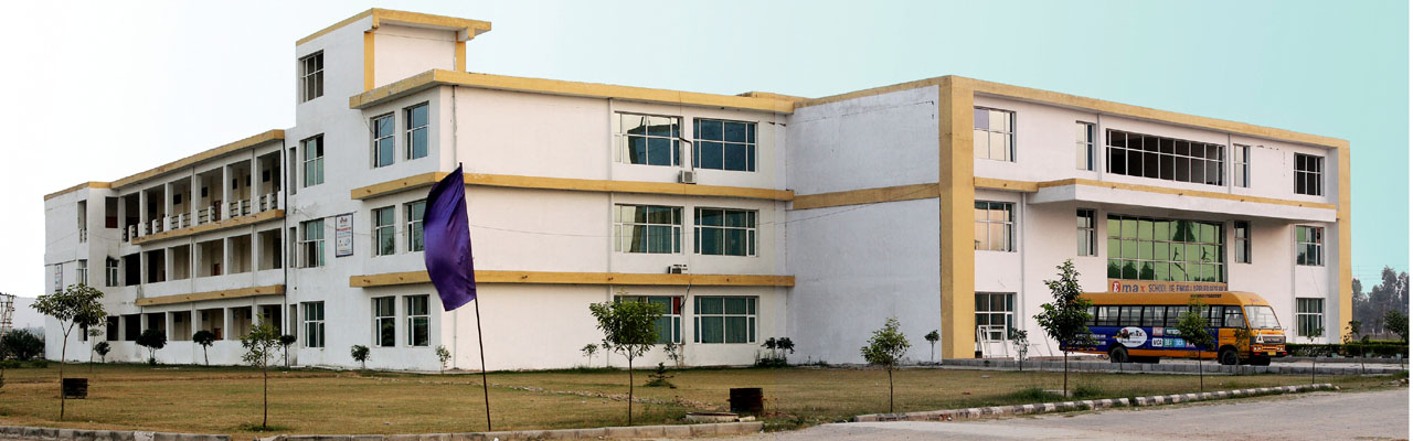 E Max College of Education, Ambala Image