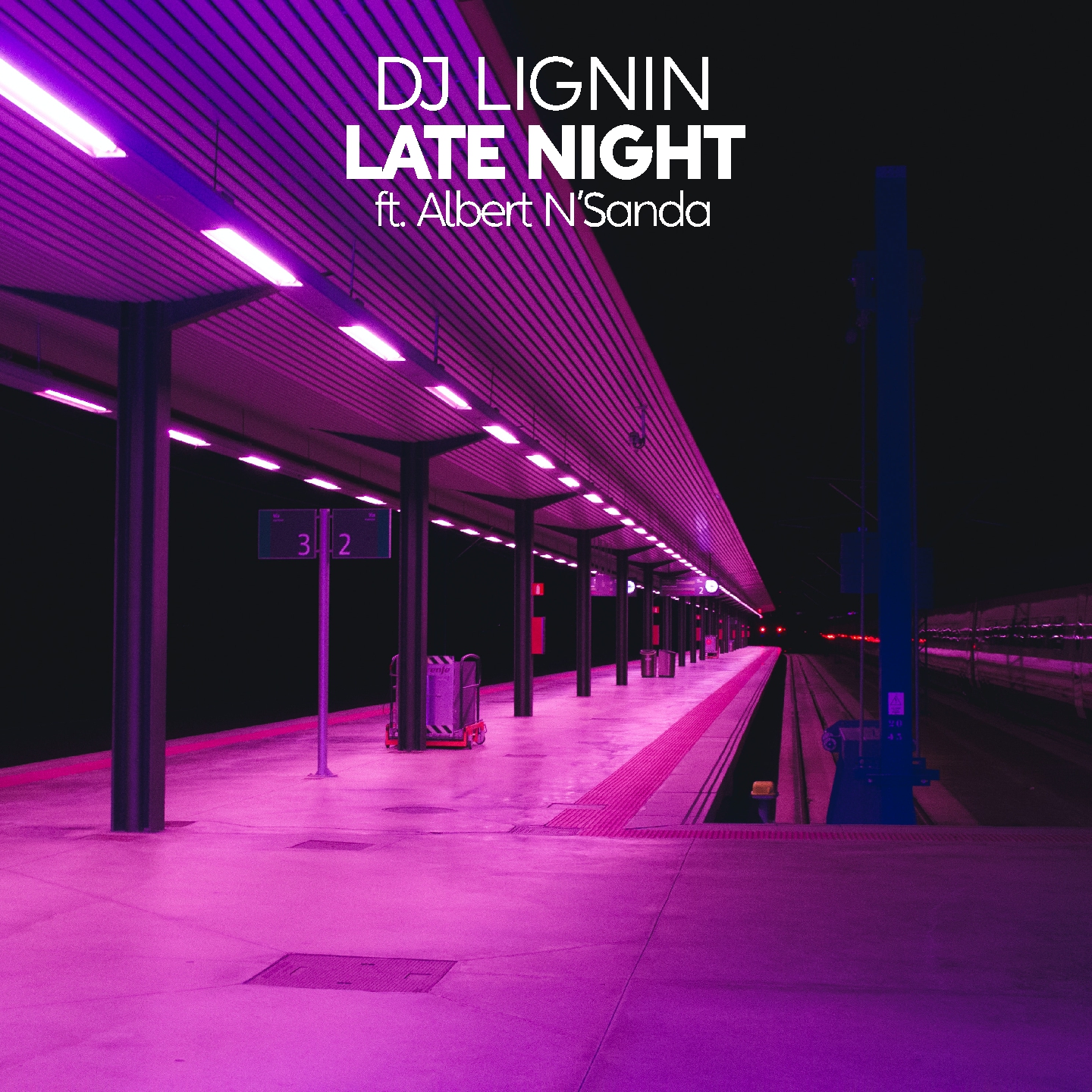 DJ Lignin ft Albert N'Sanda - Late Night