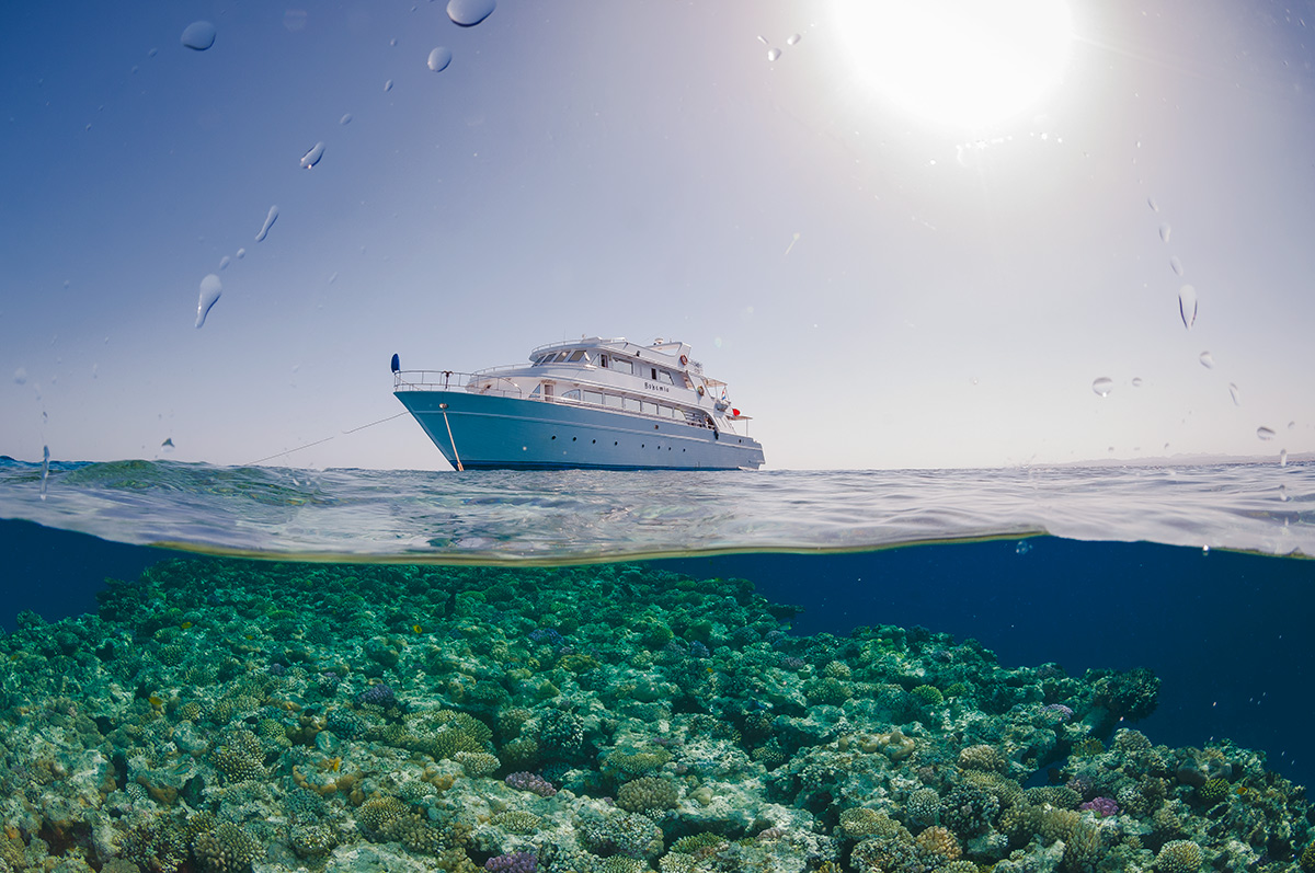 Красное море. Египет. лежит, Тистельгорм, транспорта, проливе, Губал, военного, английского, сверху , винта, общем, подходах, Суцкому, Сафарийный, стоянке, Искренне, острова, бомбардировщиком, каналу, утоплен, немецким