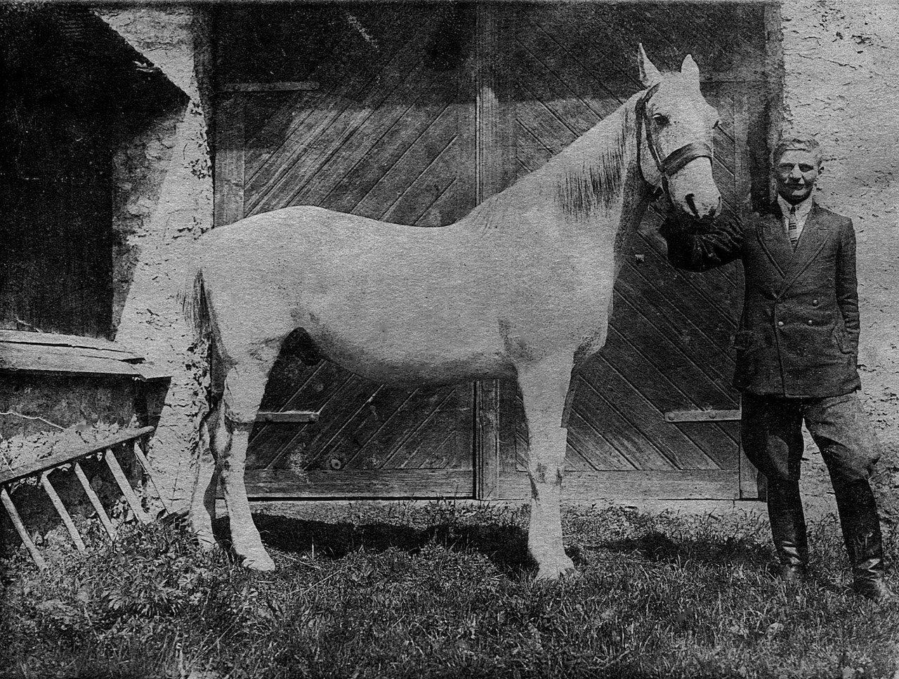 Quand les voitures ont-elles remplacé les chevaux ?