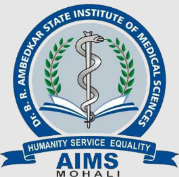 Dr. B.R. Ambedkar State Institute of Medical Sciences, Sahibzada Ajit Singh Nagar