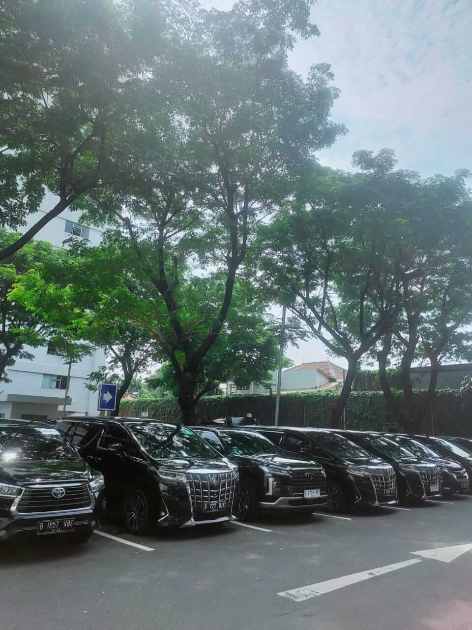 DriverDay
