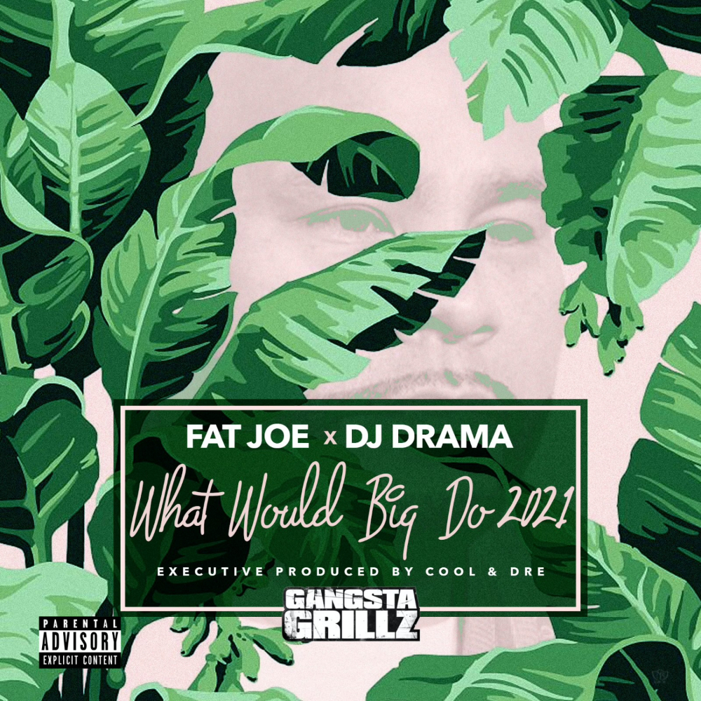 Fat Joe & DJ Drama ft Dre - Diamonds