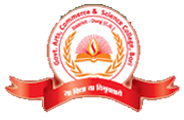 Government Naveen College, Bori, Durg