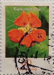цветок 80
