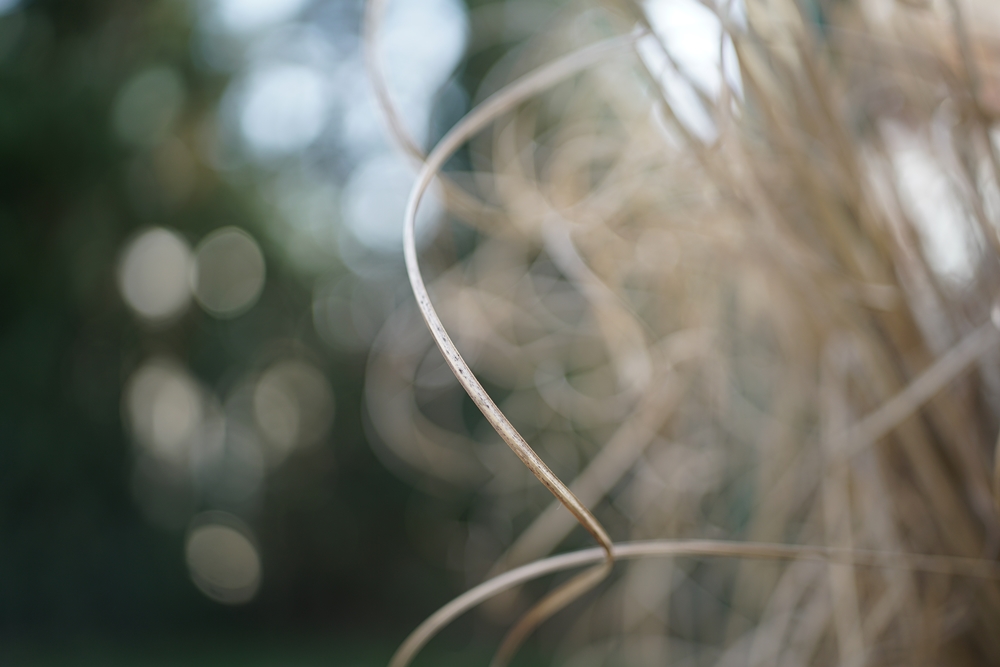 Sigma 35mm F1.2 DG DN Art, Sony a7R II, przysłona F1.2.
