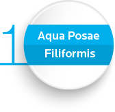 Aqua Posae Filiformis
