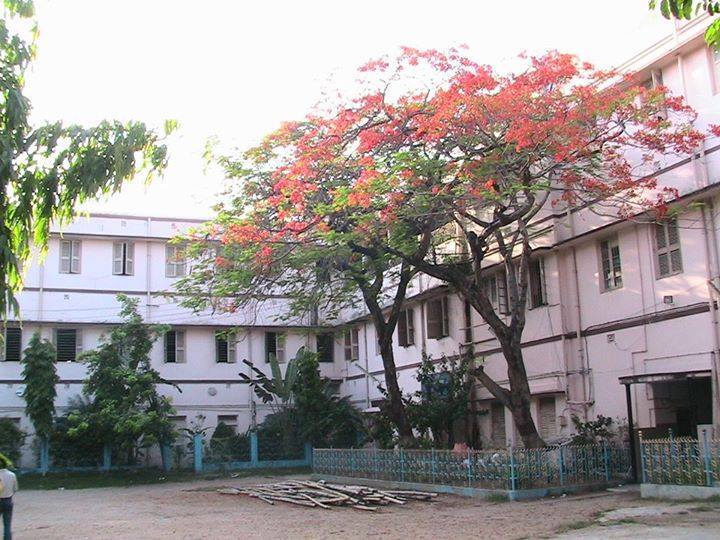 Rishi Bankim Chandra College, 24 Parganas (n) Image