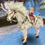 Bílý vznešený kůň