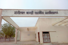 M.L.B. Government College, Nokha Image