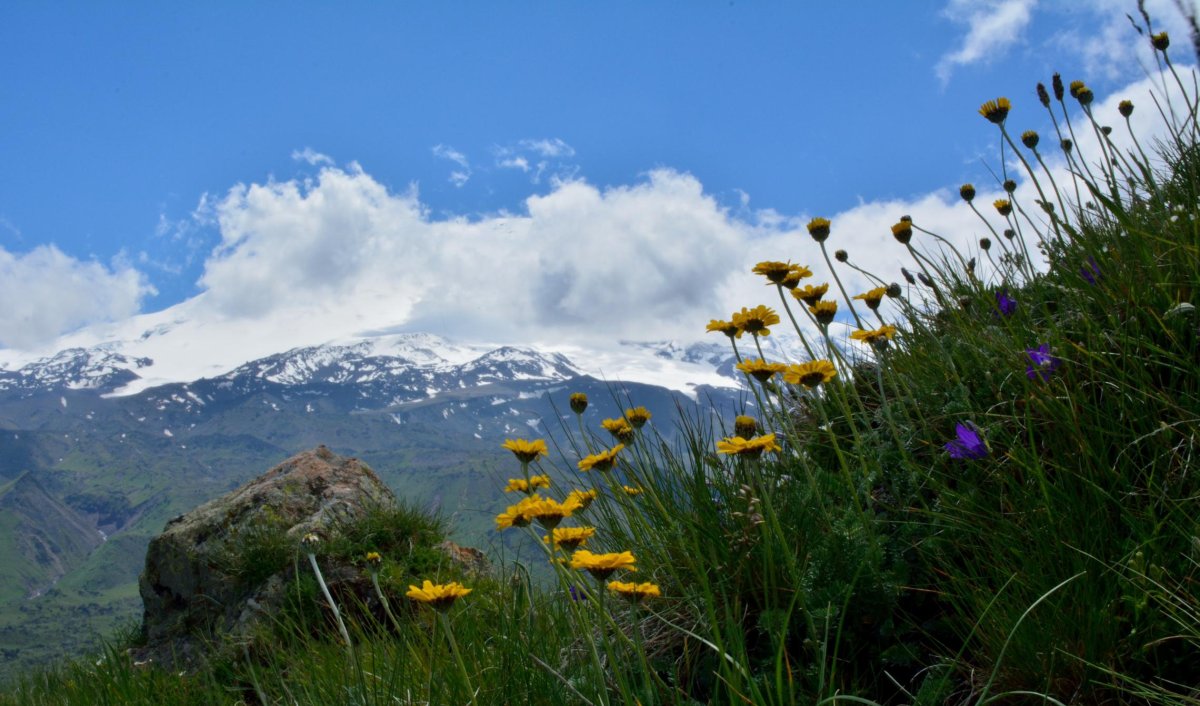 mountain-elbrus