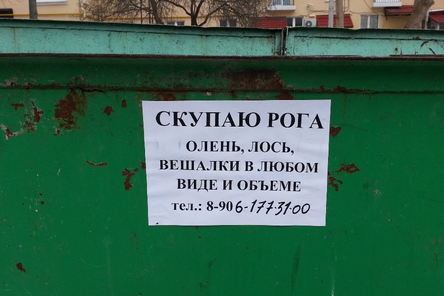 рогатым на заметку