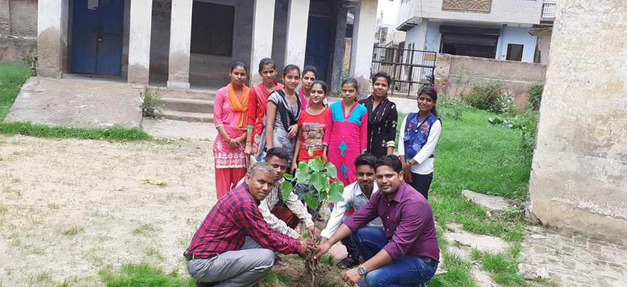 Government College, Kaman Image