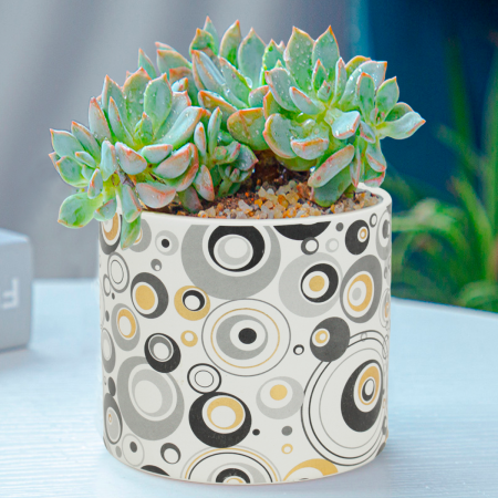 Maceta decorativa 11.5xØ12.5cm, cerámica