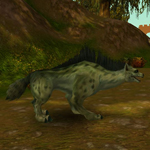 Divoká hyena Kuntů