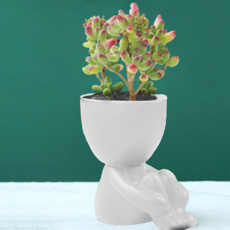 Maceta decorativa blanco, 10cm, cerámica