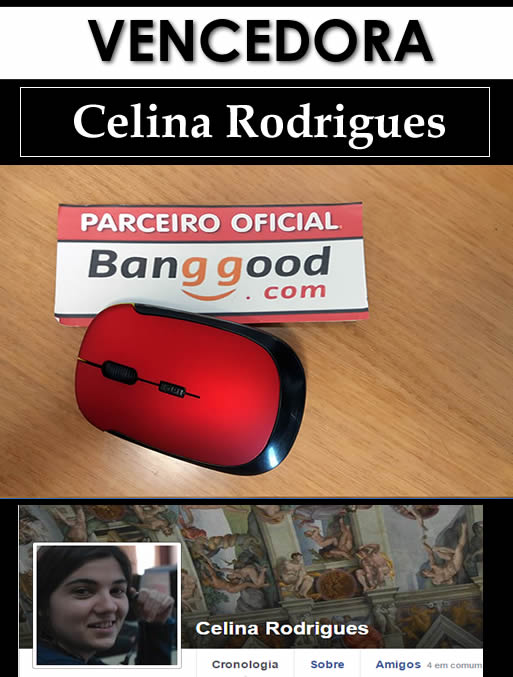 Passatempo 1001Blogs + Banggood - Rato Usb --- Terminado --- Celina%20rodrigues