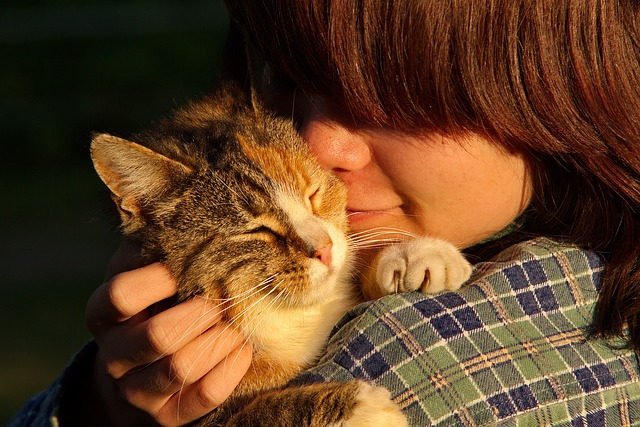 Choosing the Right Cat